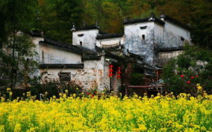 楼房房顶渗水怎么处理？这些方法你一定得知道